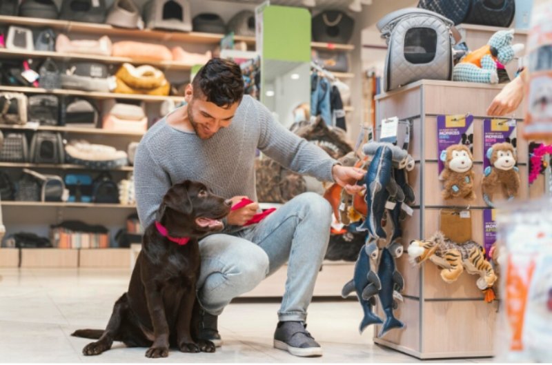 Your Pet's Wishlist Is Probably Longer Than Yours